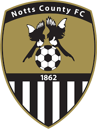 https://img.ynyshirfarm.com/img/football/team/9e230c89a846b9cadf91884918fa7611.png